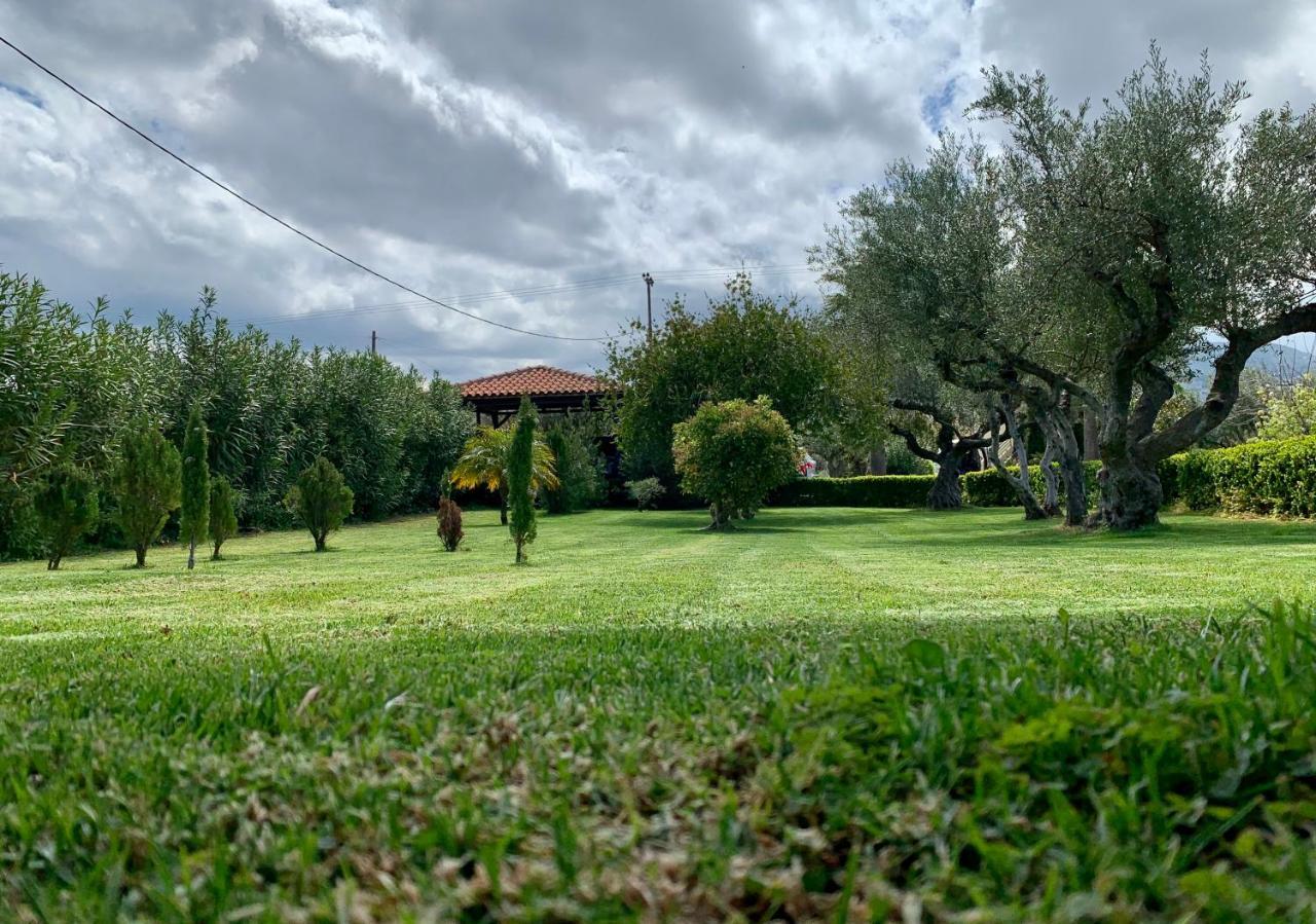 Aggelos And Thisbe Chania Suburbs Sea View Guest House Εξωτερικό φωτογραφία