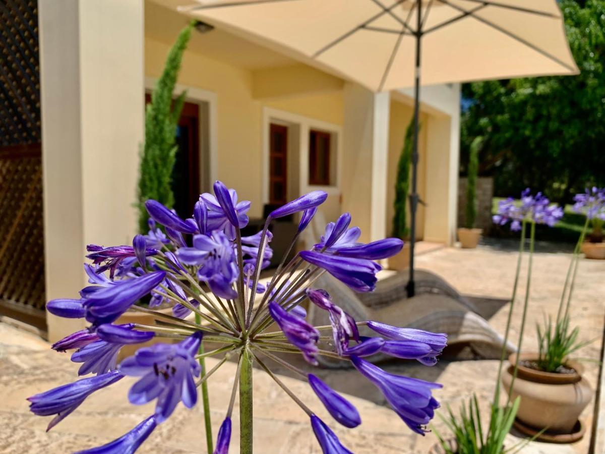 Aggelos And Thisbe Chania Suburbs Sea View Guest House Εξωτερικό φωτογραφία